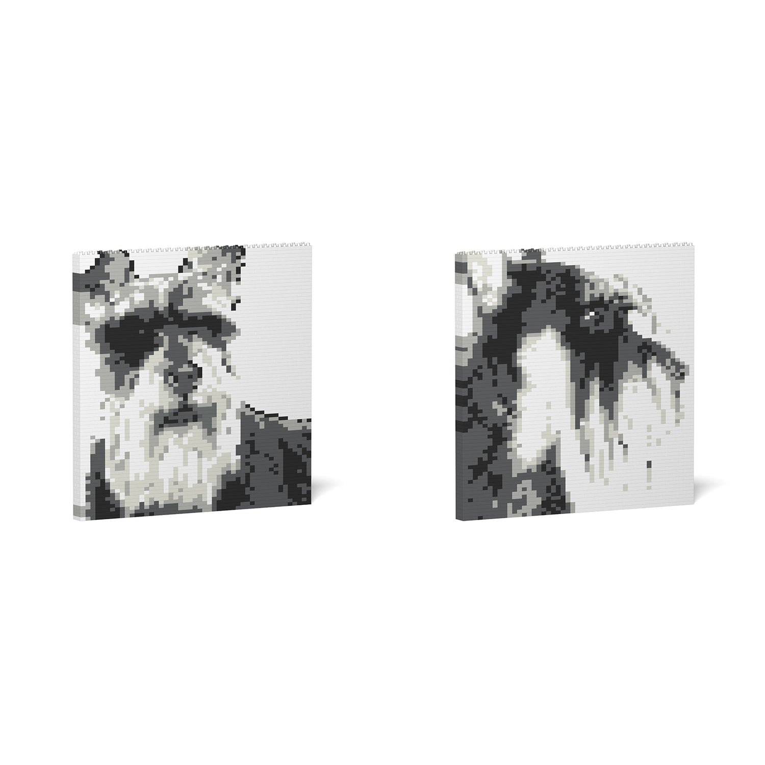 Standard Schnauzer Painting