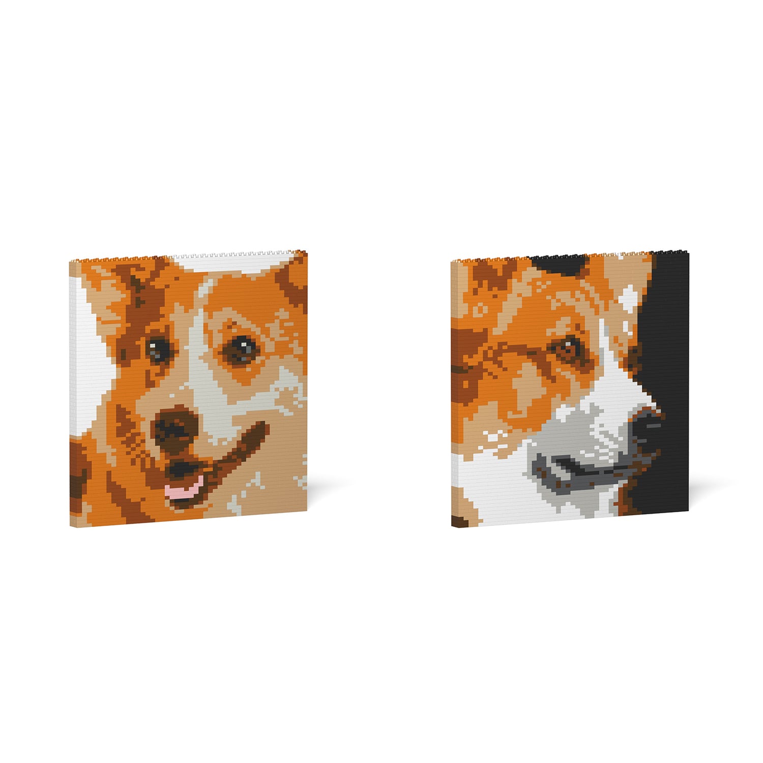 Welsh Corgi Painting