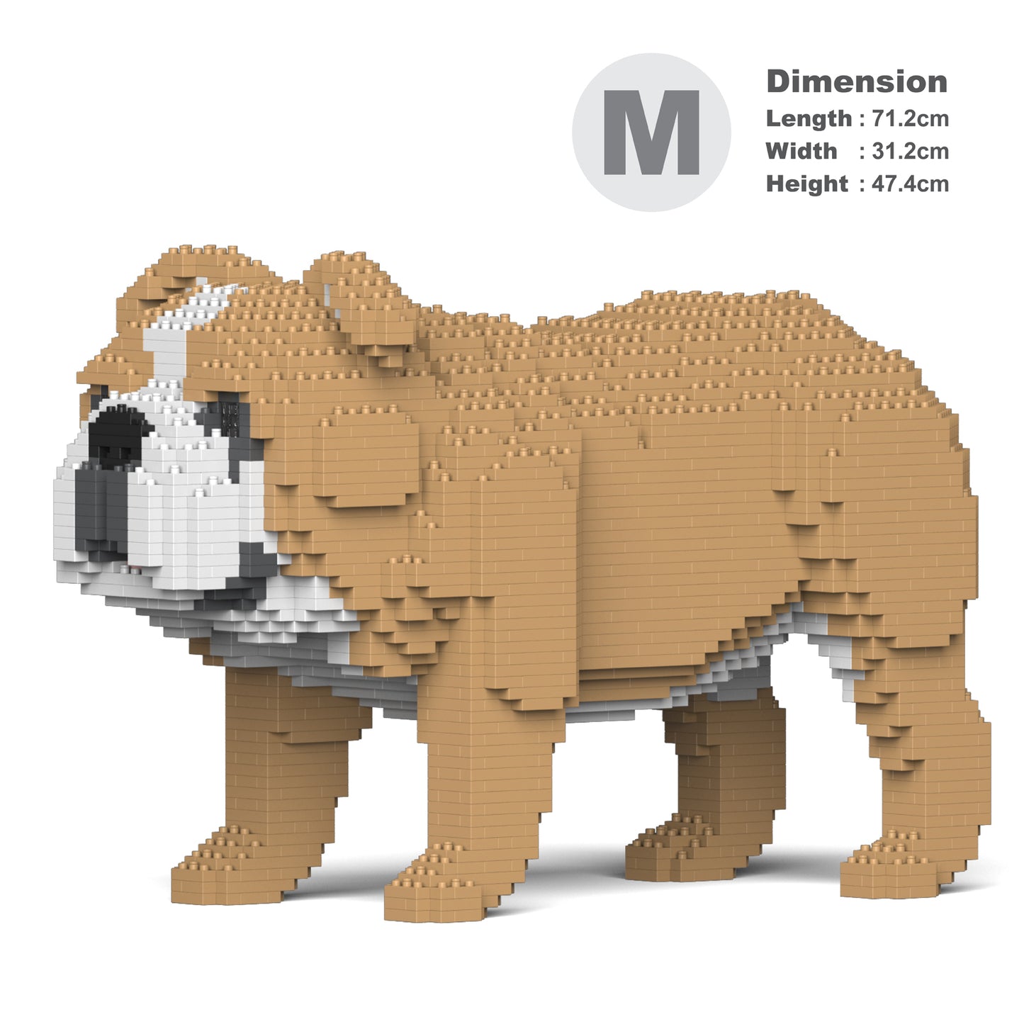 English Bulldog 4-in-1 Pack 01S-M03