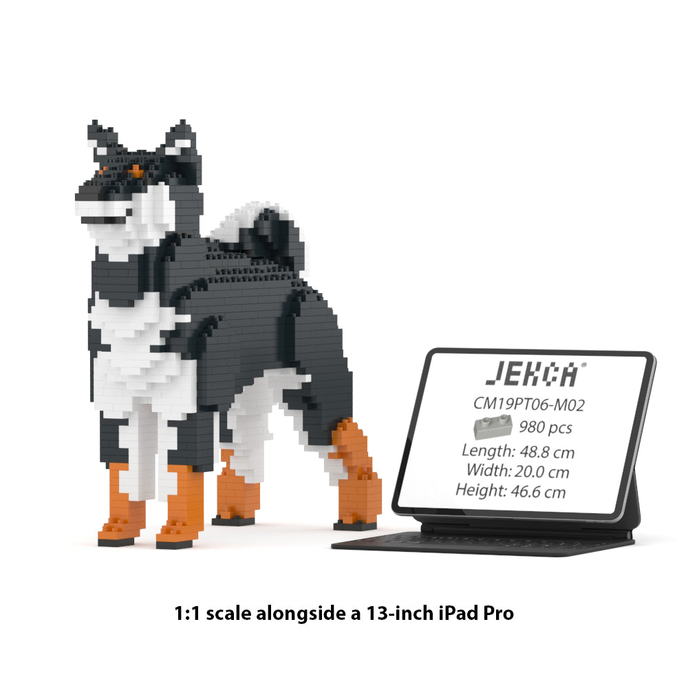 Shiba Inu 01-M02