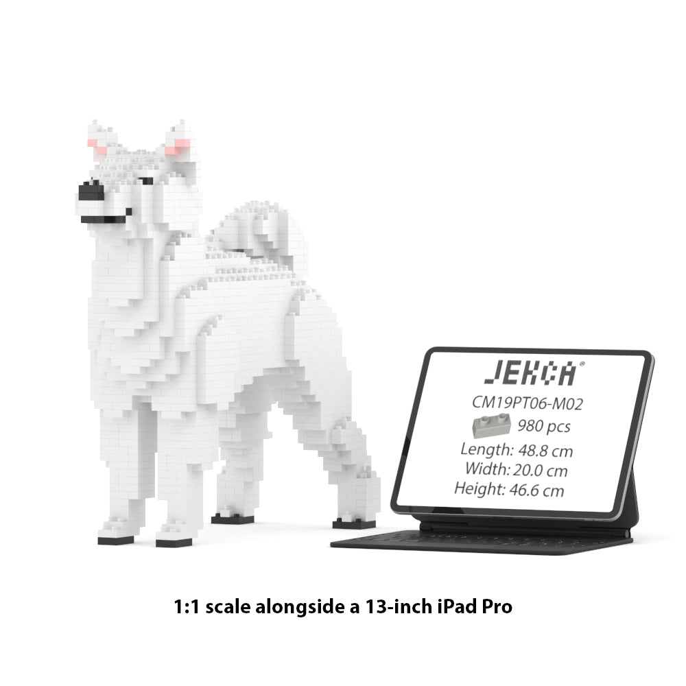 Shiba Inu 01-M03