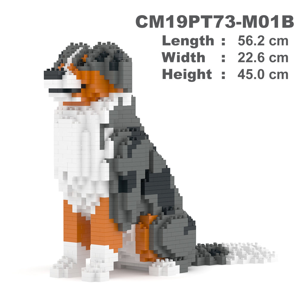 Australian Shepherd 01-M01B