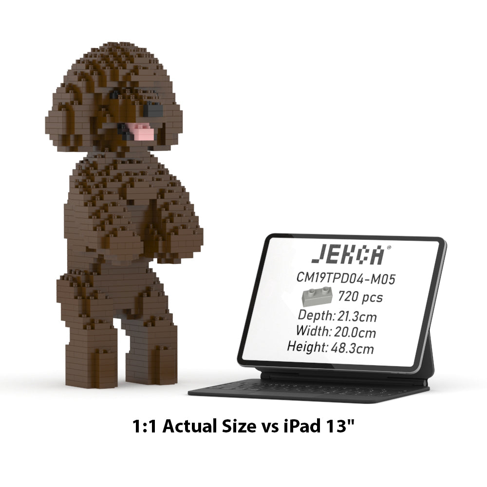 Toy Poodle 04-M05