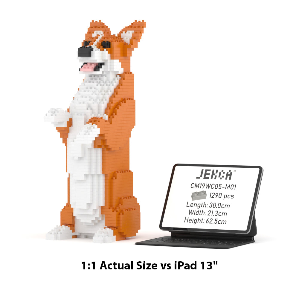 Welsh Corgi 05-M01