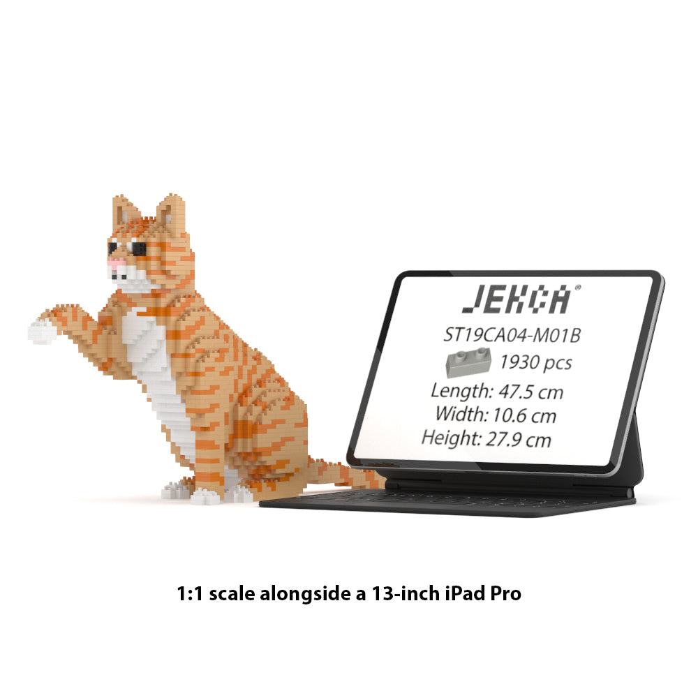 Cat 04S-M01B