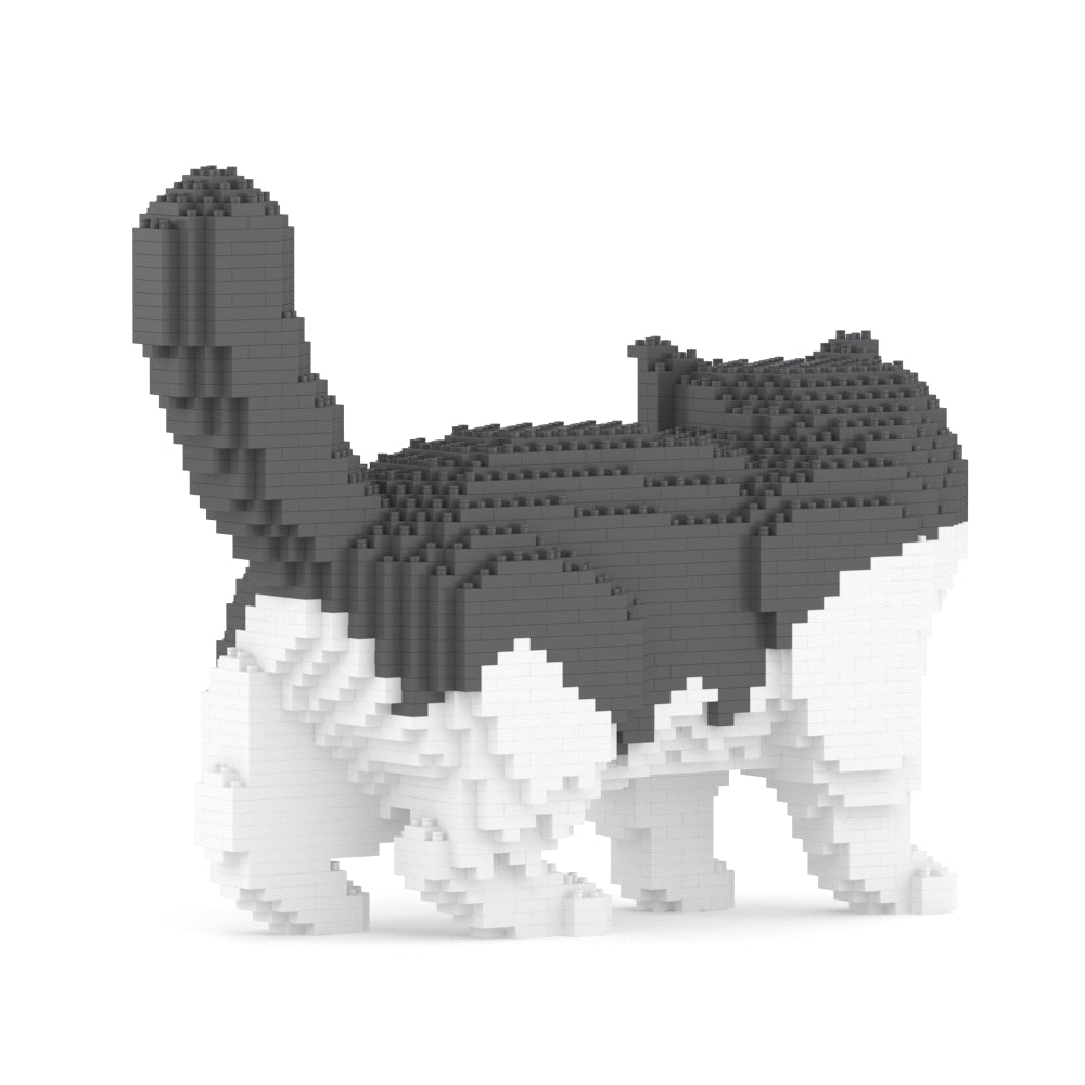Exotic Shorthair Cat 01S-M02