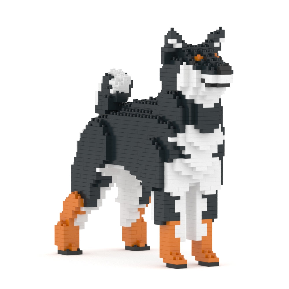 Shiba Inu 01-M02