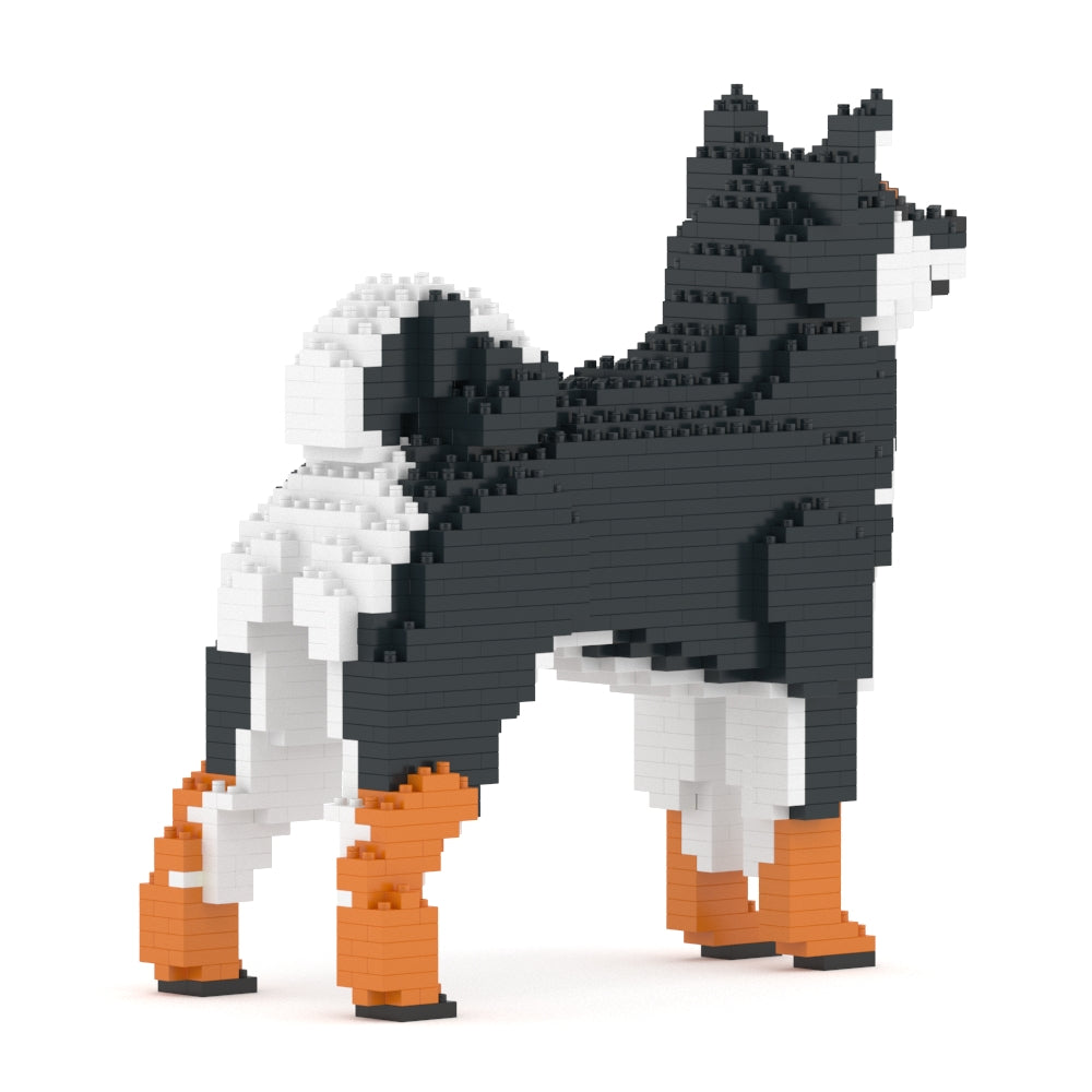 Shiba Inu 01-M02