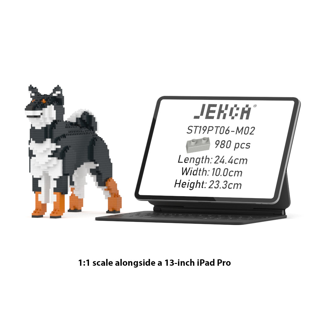 Shiba Inu 01-M02