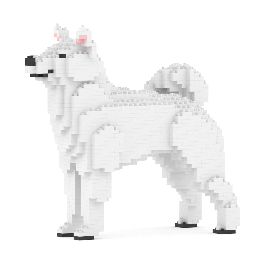 Shiba Inu 01-M03