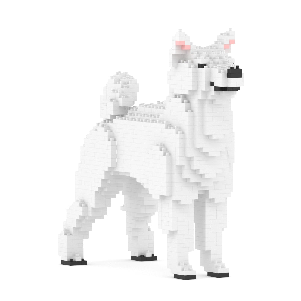 Shiba Inu 01-M03