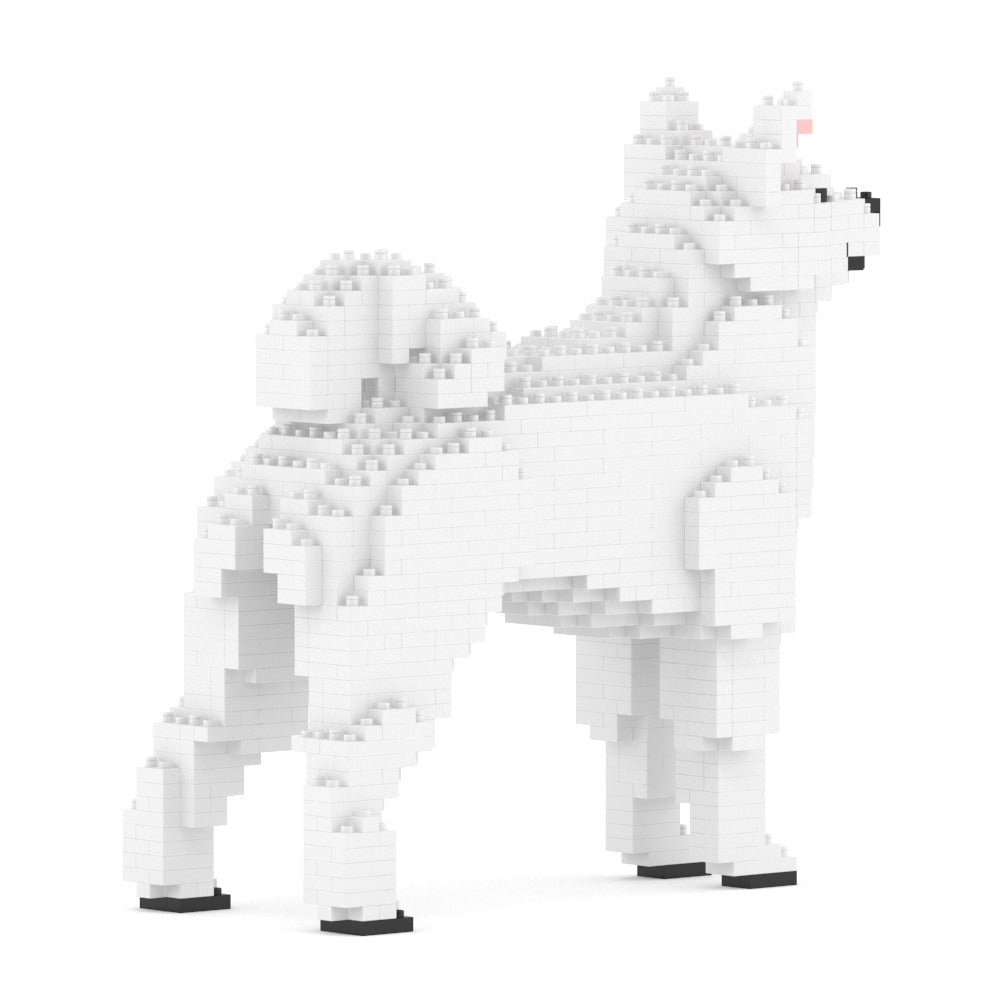 Shiba Inu 01-M03
