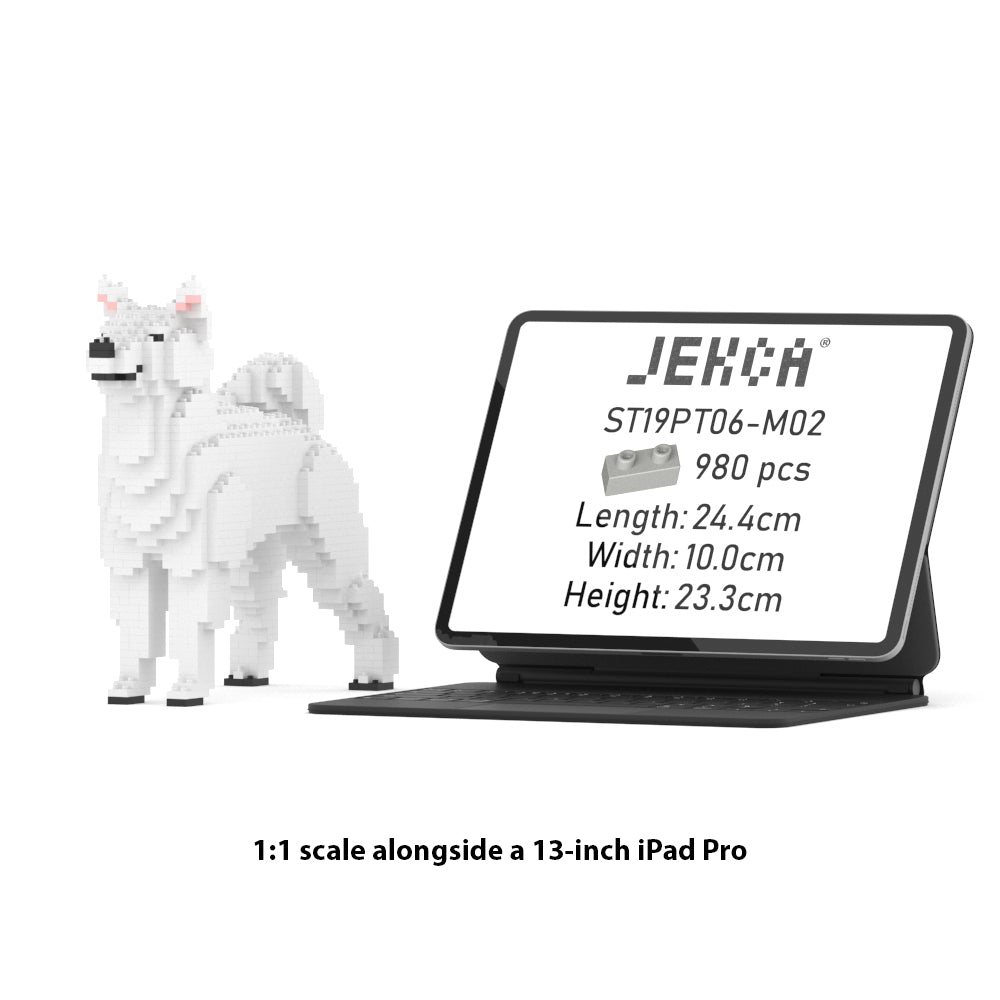 Shiba Inu 01-M03