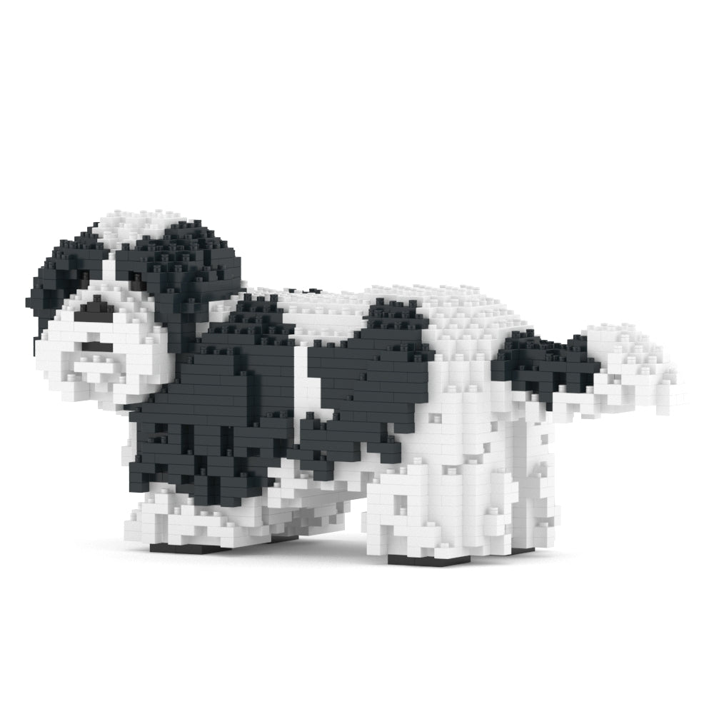 Shih Tzu 01-M02