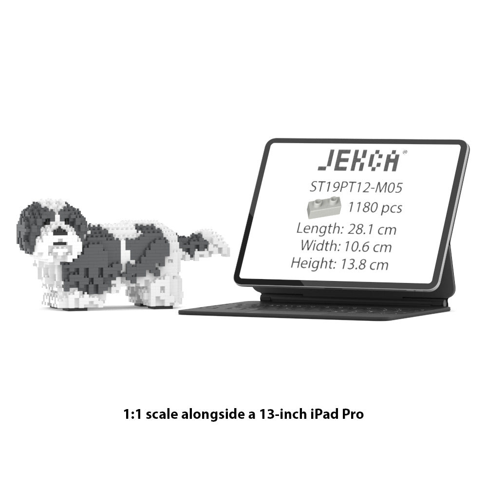 Shih Tzu 01-M05