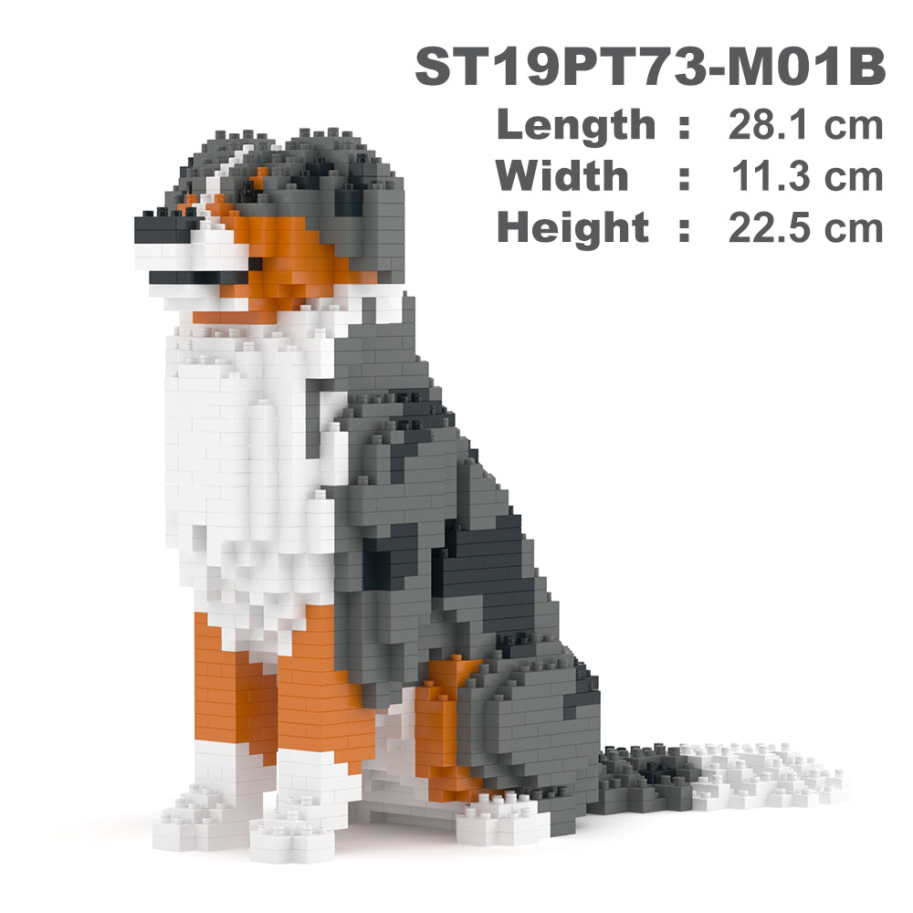 Australian Shepherd 01-M01B