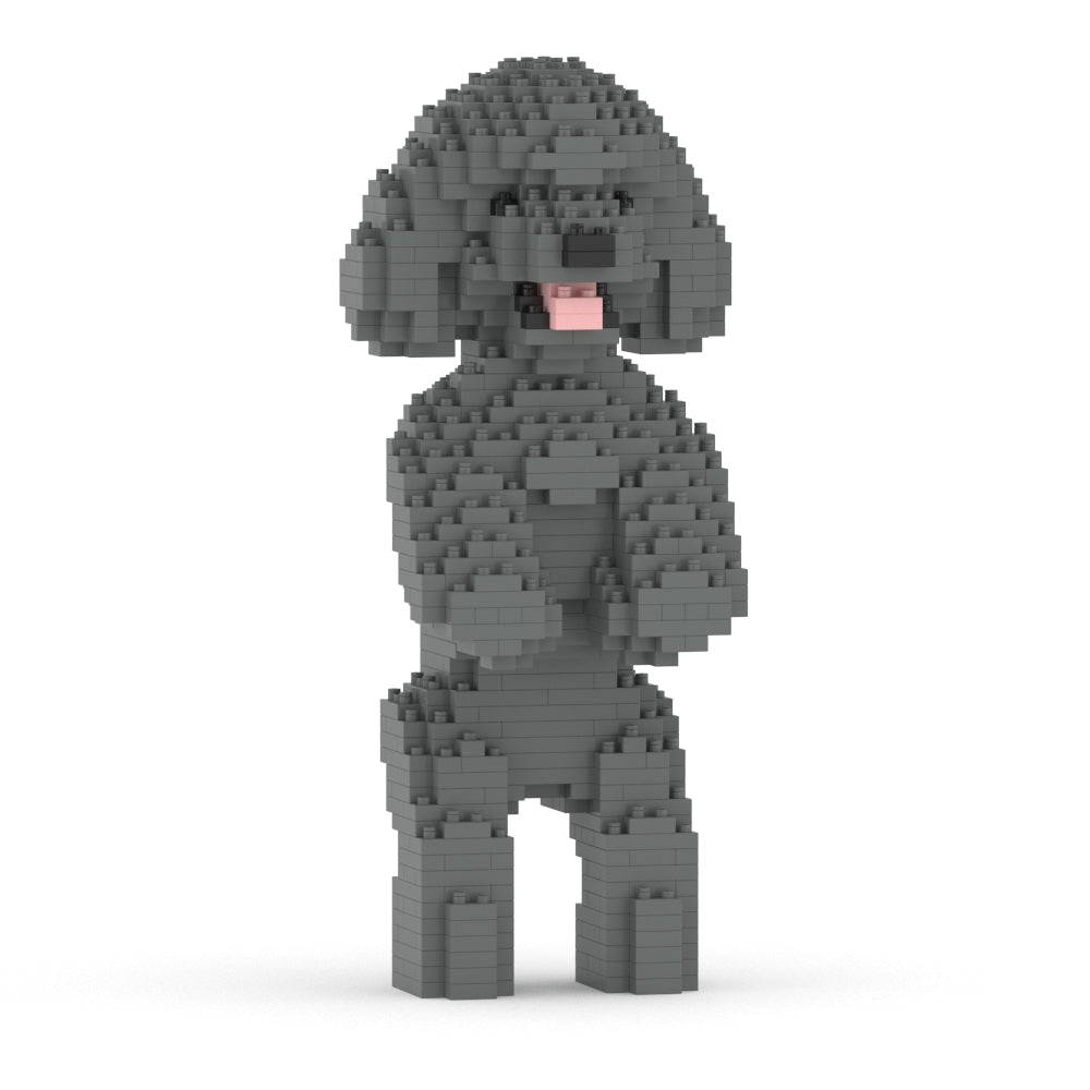Toy Poodle 04-M06