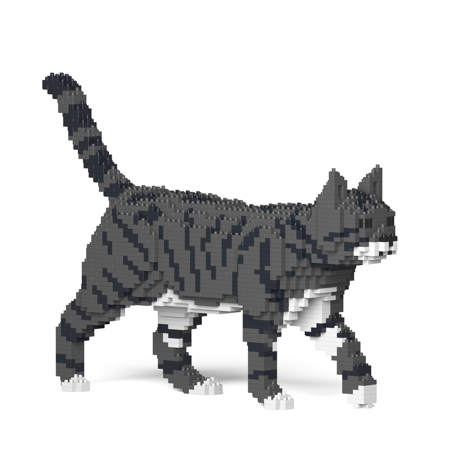 Grey Tabby Cat (Darker)