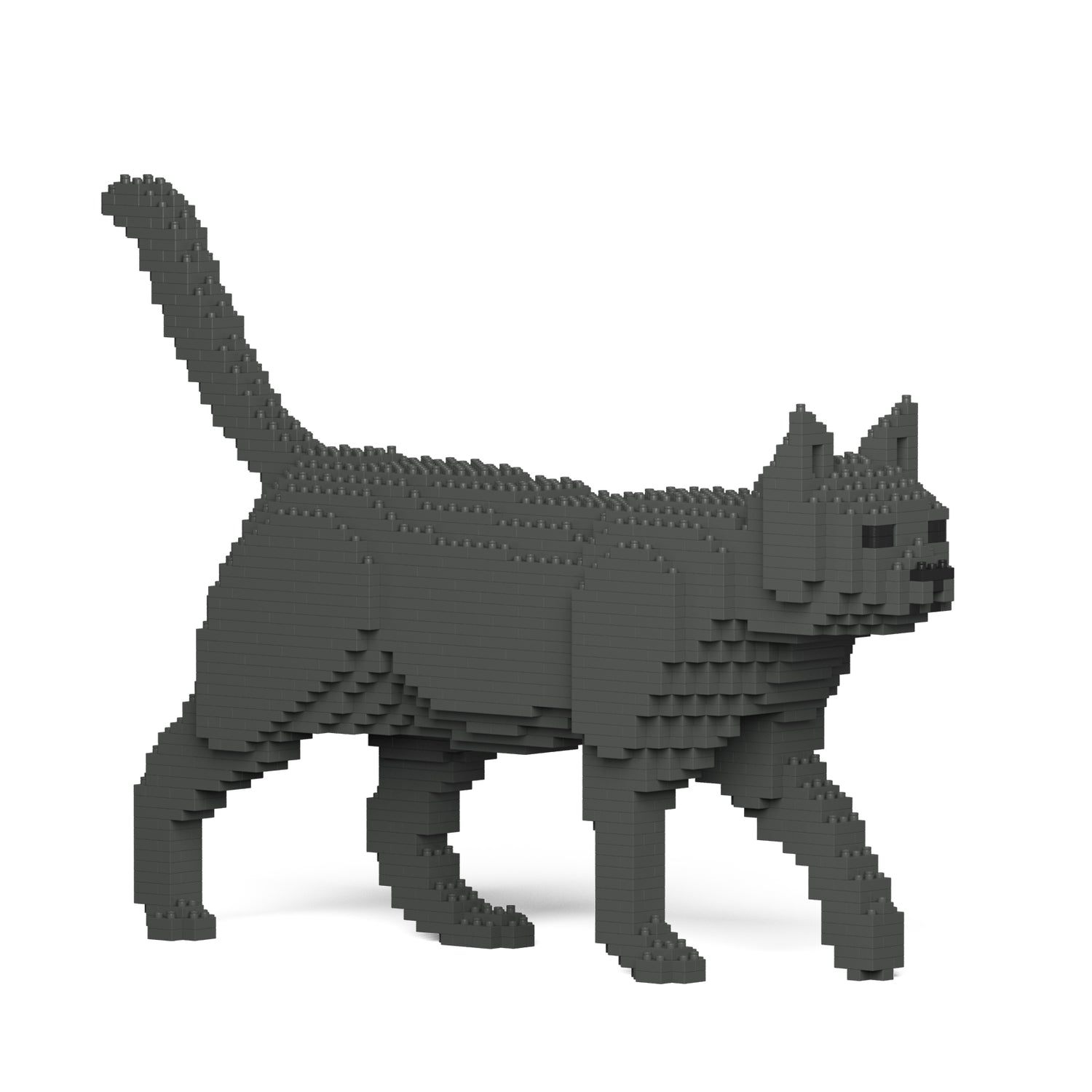 Grey Cat