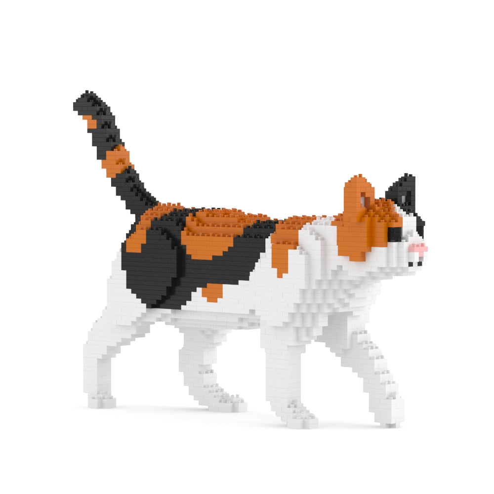 Calico cat