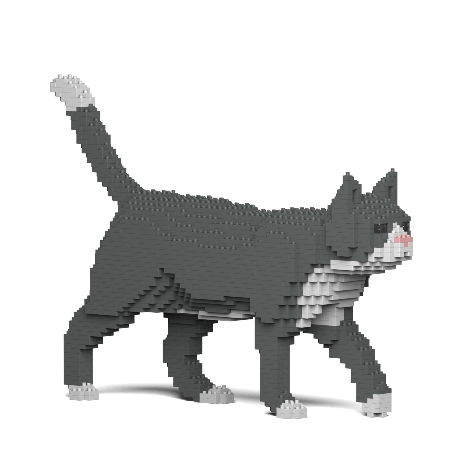 Grey Tuxedo Cat