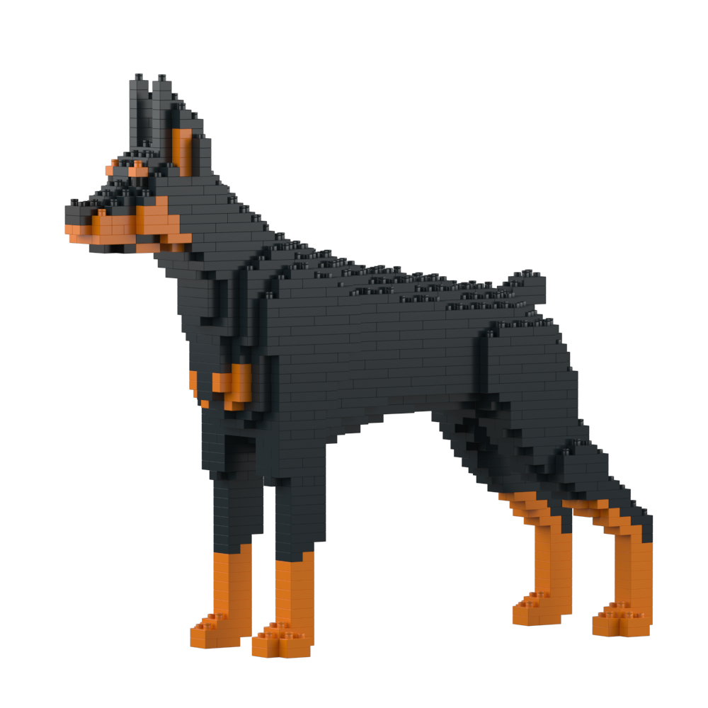 Doberman Pinscher