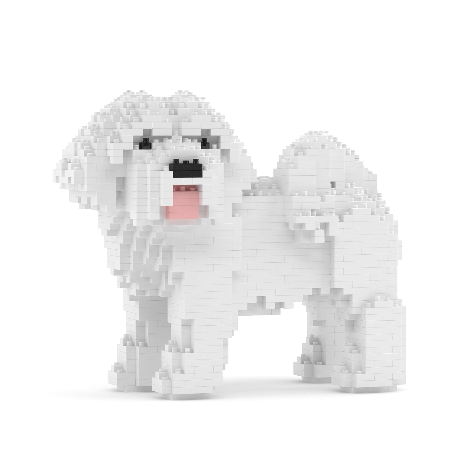 Coton de Tulear