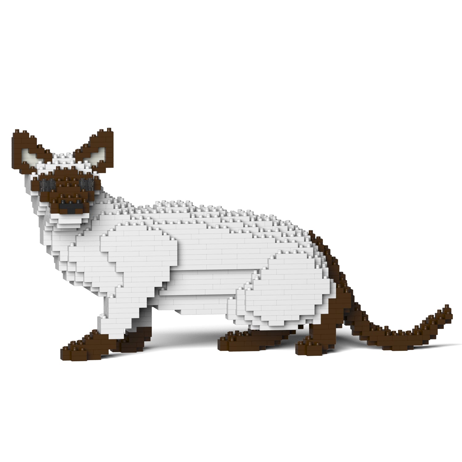 Siamese Cat