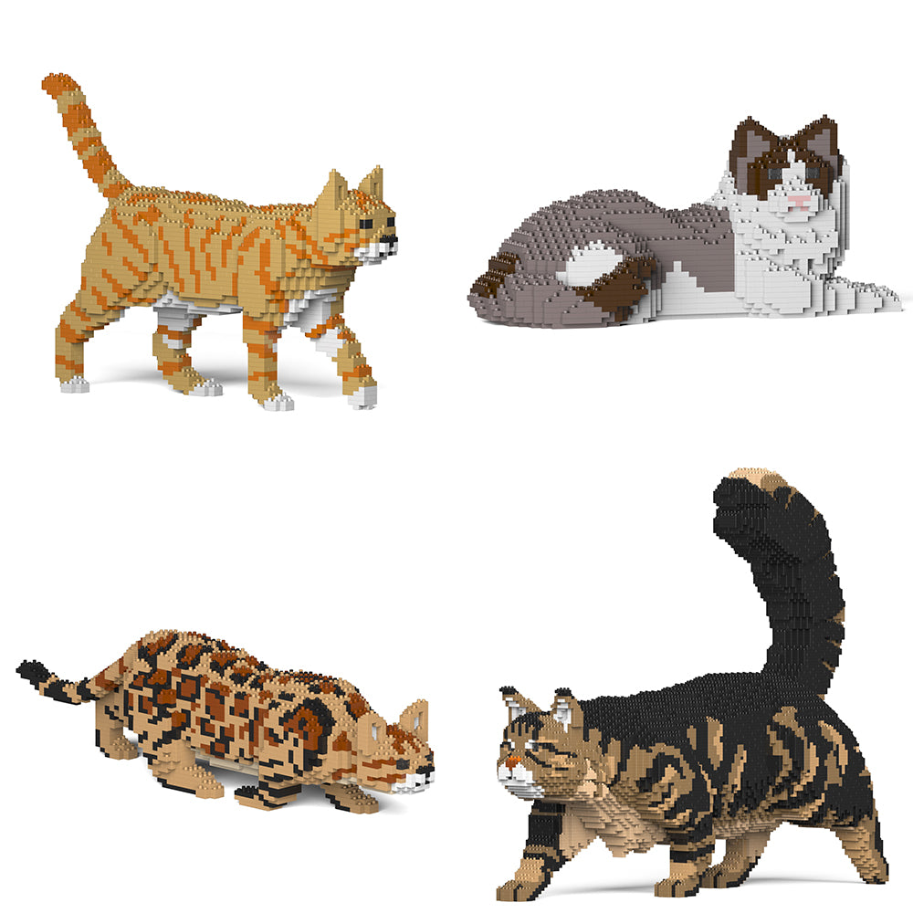 Cats