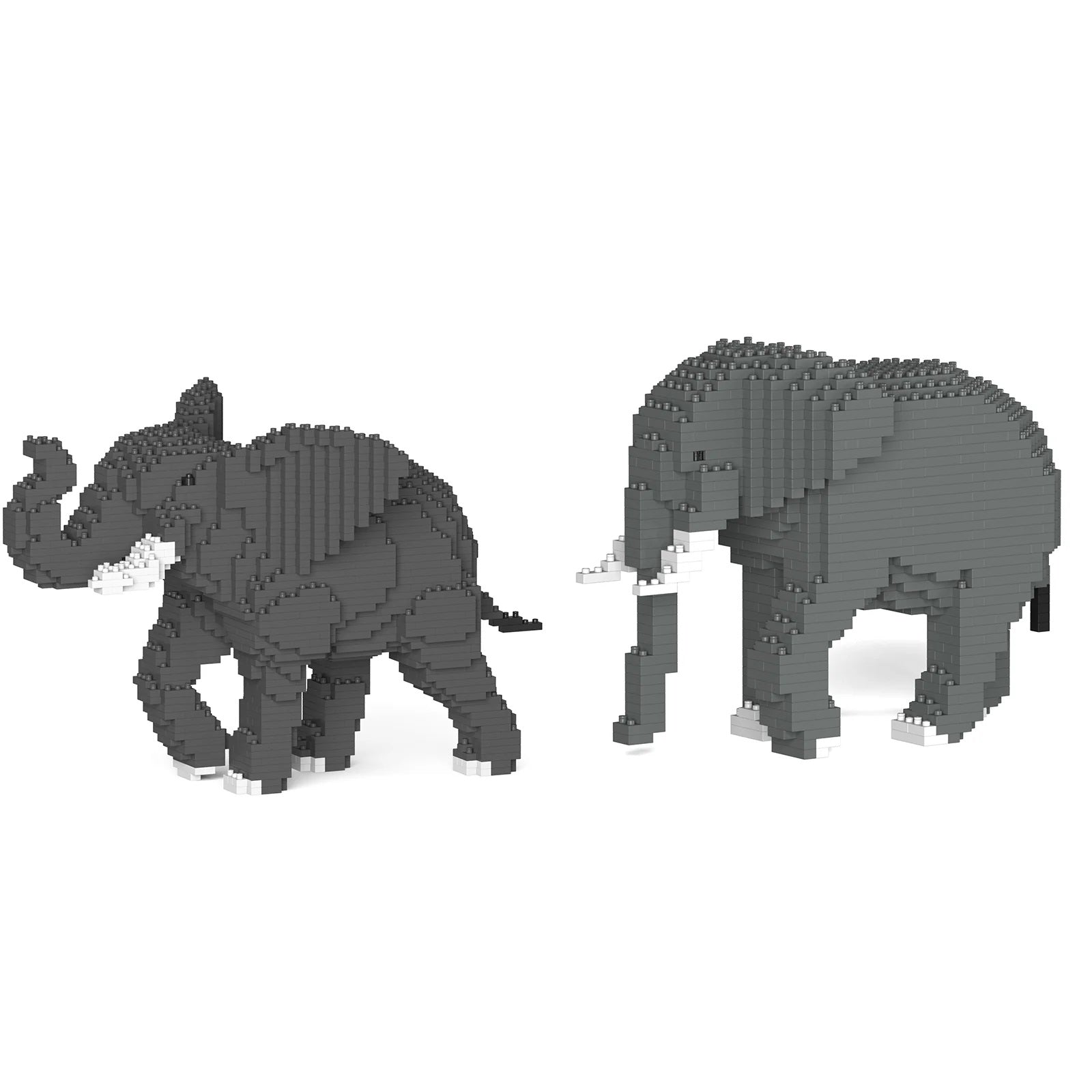 Mammal – JEKCA Global