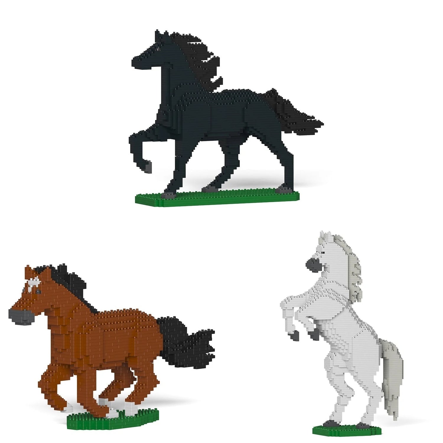 Horses