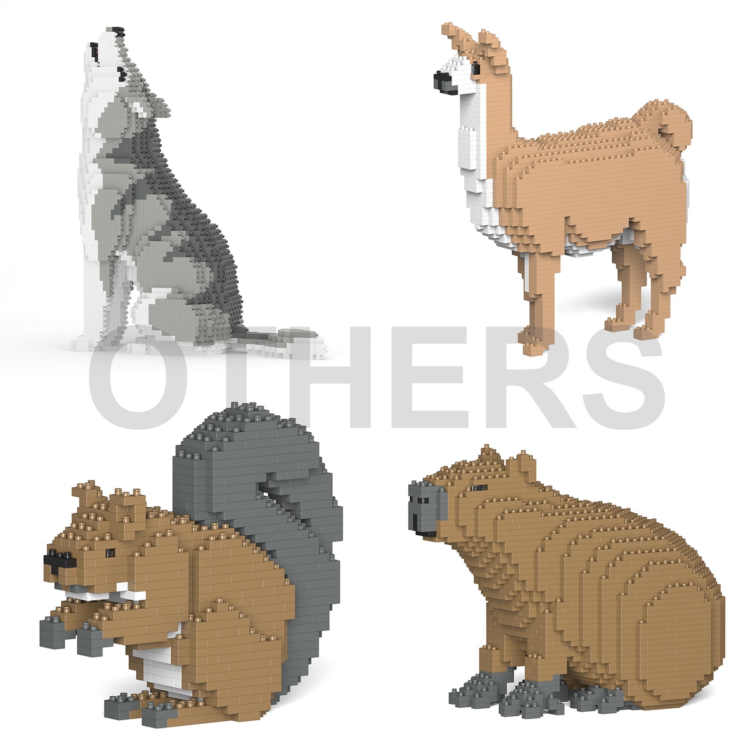 Other Mammals