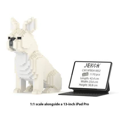 French Bulldog 04-M02