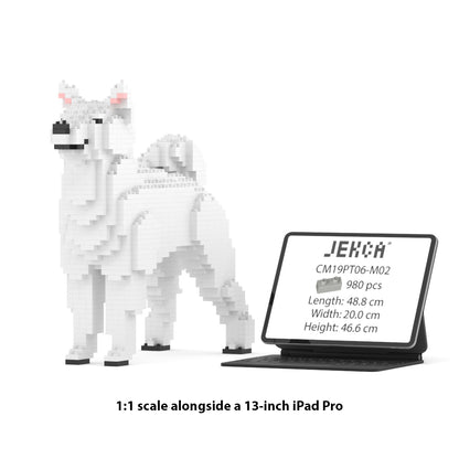 Shiba Inu 01-M03