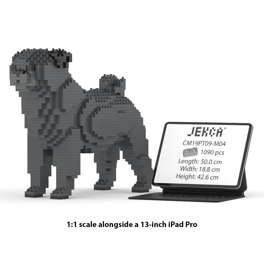 Pug 01-M04