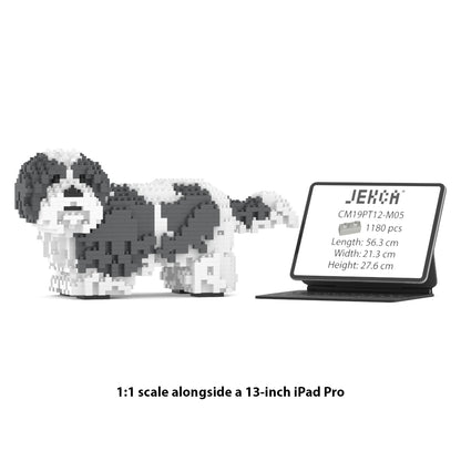 Shih Tzu 01-M05