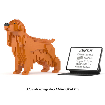 English Cocker Spaniel 01-M03