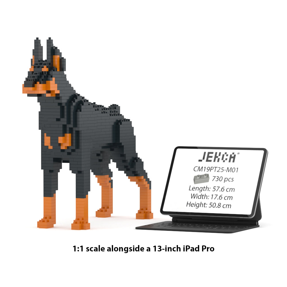 Doberman Pinscher 01-M01