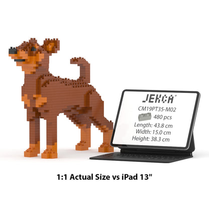 Miniature Pinscher 01-M02