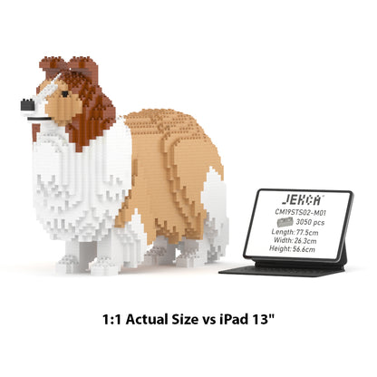 Shetland Sheepdog 02-M01
