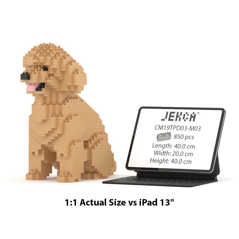 Toy Poodle 03-M03