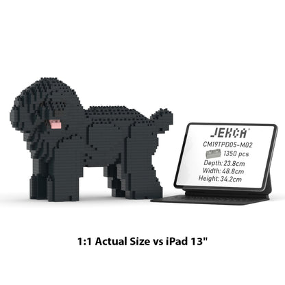 Toy Poodle 05-M02