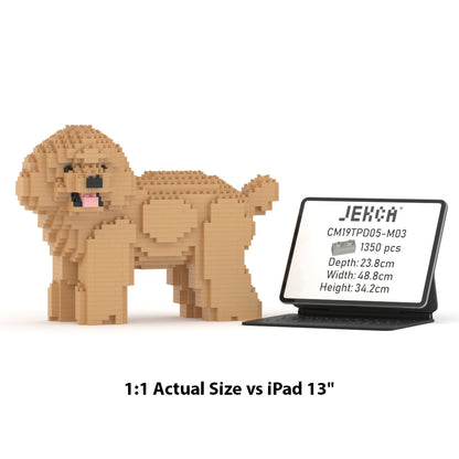 Toy Poodle 05-M03