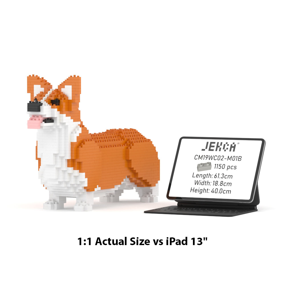 Welsh Corgi 02-M01B