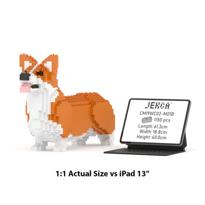 Welsh Corgi 02-M01B