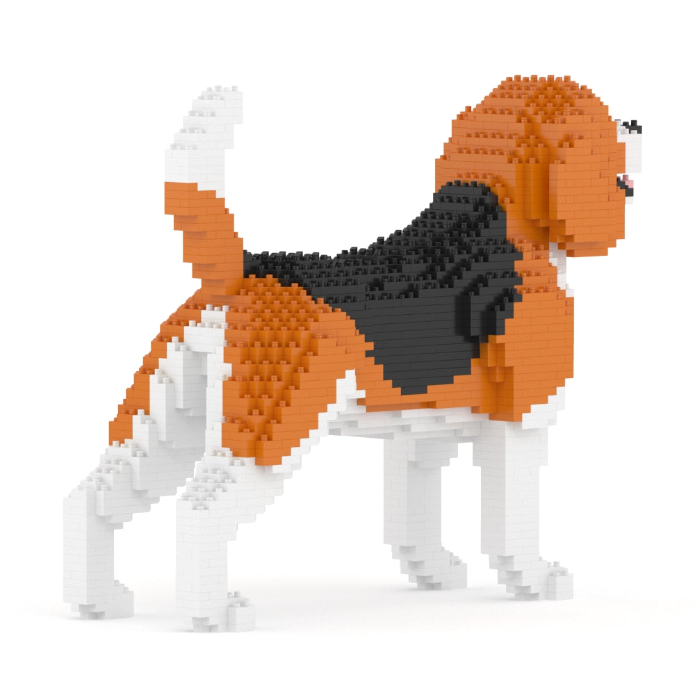 Beagle 03