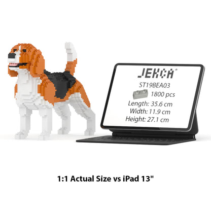 Beagle 03