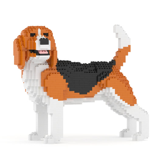 Beagle 04