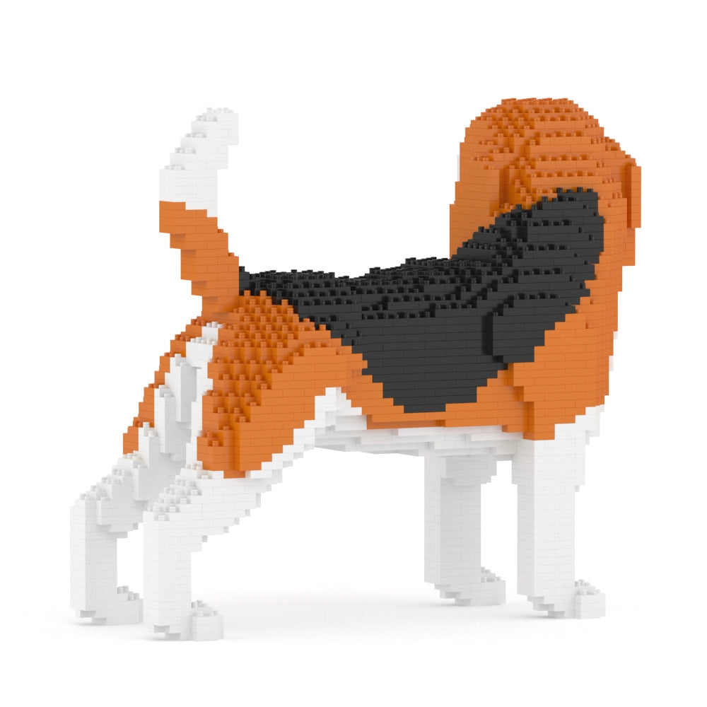 Beagle 04