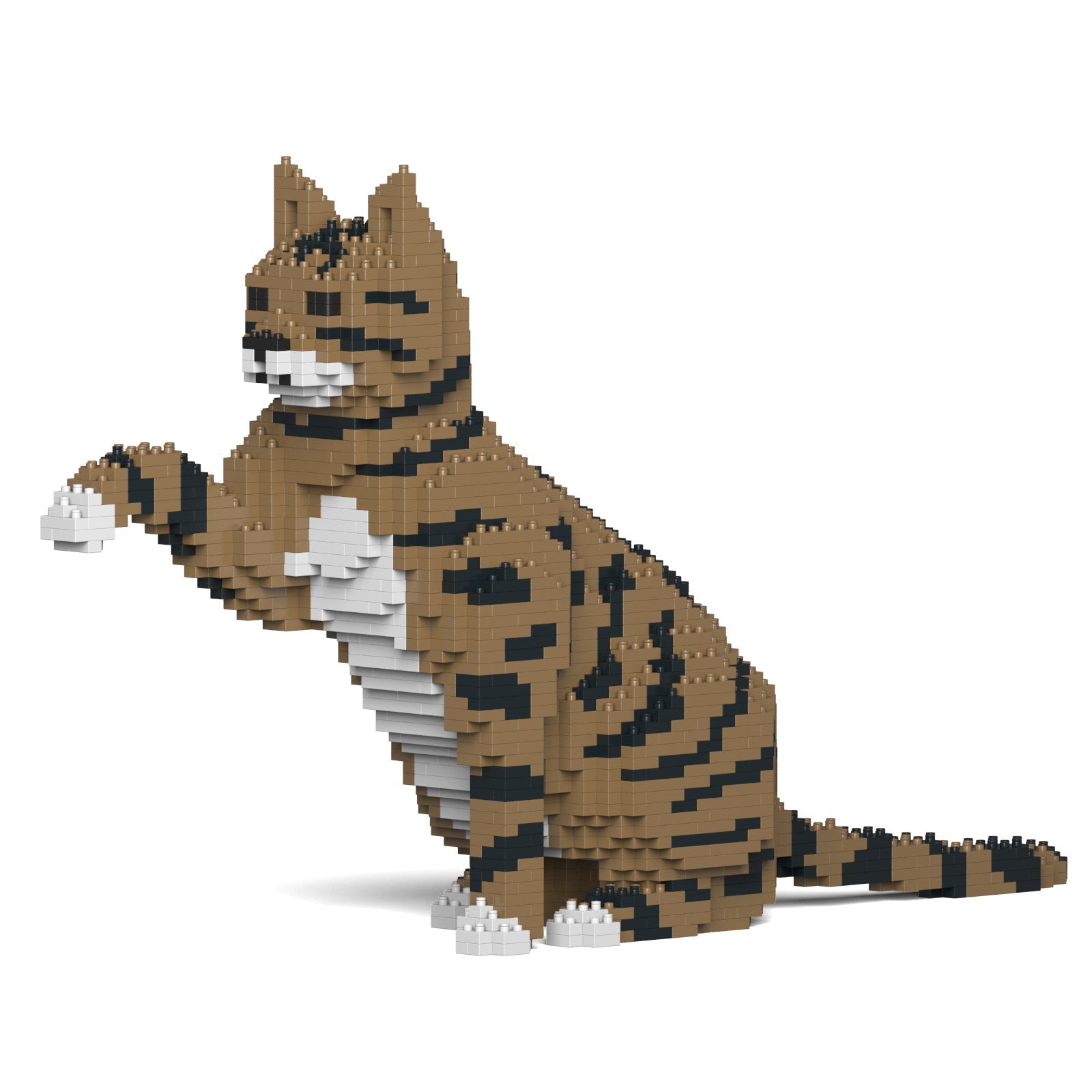 Brown Tabby Cat – JEKCA Global